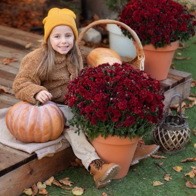 Retrouvez des infos sur Halloween et la Toussaint et apprenez à distinguer ces 2 fêtes automnales.