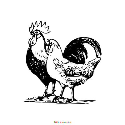 Retrouvez le coloriage d'un coq et une poule de Pâques et imprimez un dessin aux enfants pour cette jolie fête de printemps