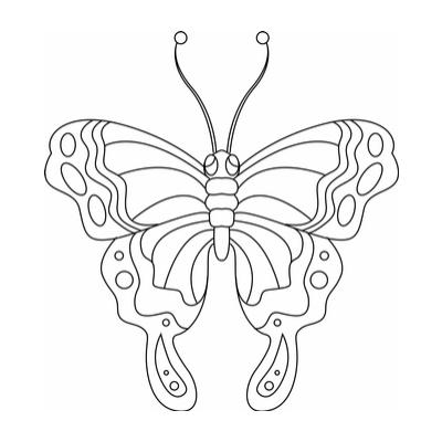 Trouvez l'inspiration avec notre sélection unique de papillons à colorier et créer. ?Parfait pour petits et grands artistes?️