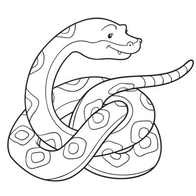 coloriage d'ne vipère