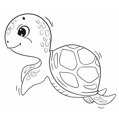 coloriages de tortues pour dessiner les mercredis et les week end. Dessins à imprimer