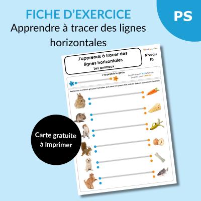 Tracer des lignes horizontales en PS avec les animaux : une activité ludique et efficace