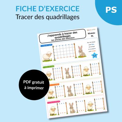 Apprendre à tracer des quadrillages en PS : les enclos des animaux