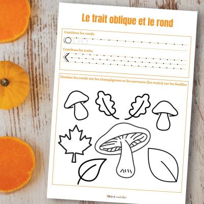 graphisme ronds et traits