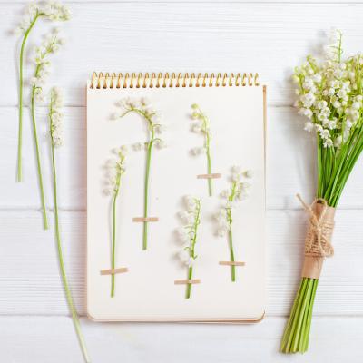 Fiche sur le muguet pour herbier. Fiche explicative illustrÈe et modËles gratuits.