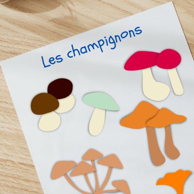 Faire un tableau pour identifier les champignons
