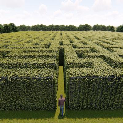 labyrinthe - mot du glossaire Tête à modeler. Définition et activités associées au mot labyrinthe.