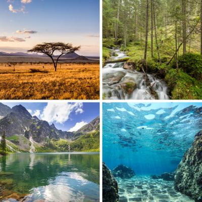 Il existe deux sortes de classement des écosystèmes, selon le biotope ou selon la biocénose. L'écosystème humain fait référence à la biocénose, à
