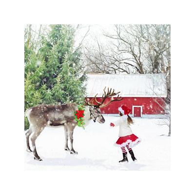 Les Rennes du Père Noël s’appellent Tornade, Danseuse, Furie, Fringant, Comète, Cupidon, Tonnerre, Eclair et Rudolph alors ?