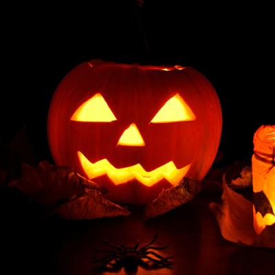 La Samain est une fête Celte et donc Gauloise qui correspond à la nuit du 31 octobre au premier novembre de notre calendrier julien . La fête d'Halloween et de la Toussaint trouvent une partie de leur