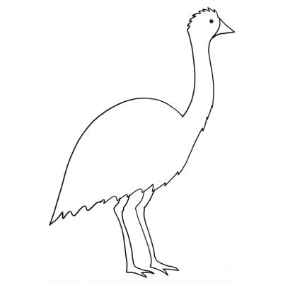 coloriage d'un émeu