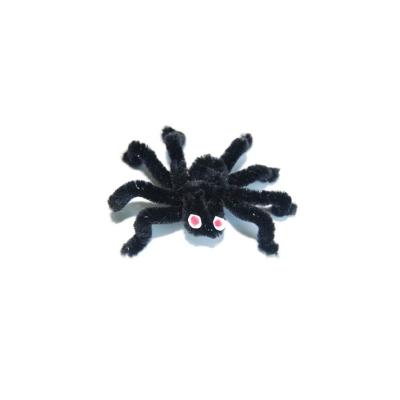 araignée velue