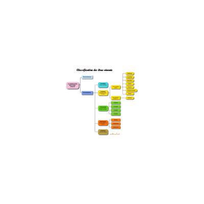 Classification du règne animal. Fiche de synthèse sur l'organisation du règne animal.  Le mot animal est à prendre au sens le plus large, celui du règne. Le règne animal inclue l'homme. Si