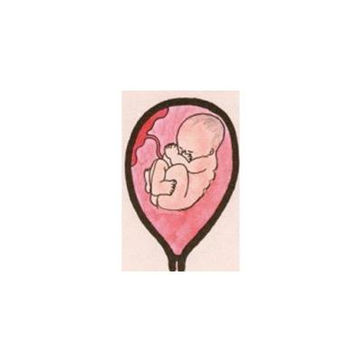 Bébé à 22 semaines de grossesse