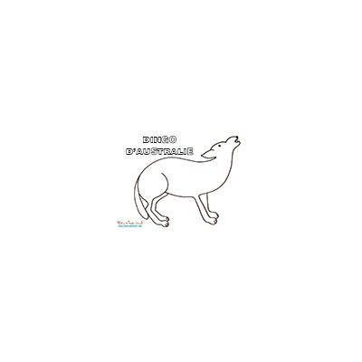 Coloriage dingo d'Australie