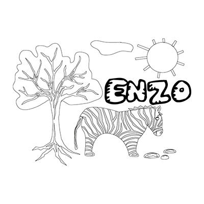Enzo