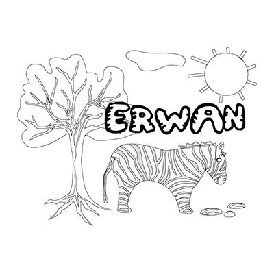 Erwan