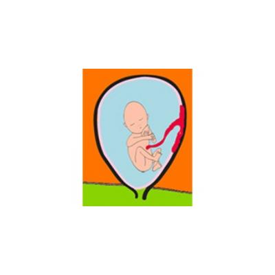 L'activité de bébé pendant le 5 ème mois