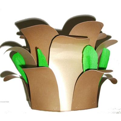 Fabriquer une Couronne  brésilienne