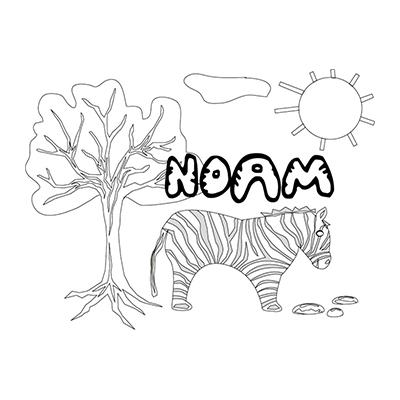 Noam