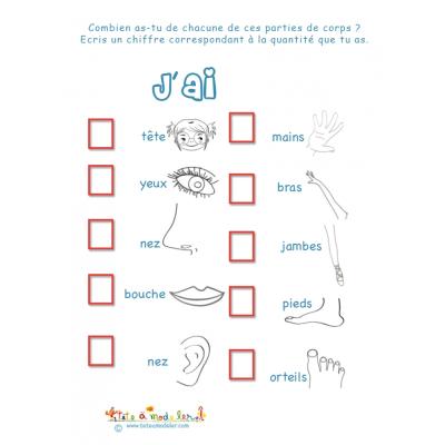 Mon corps : j'ai combien de chaque partie du corps ?