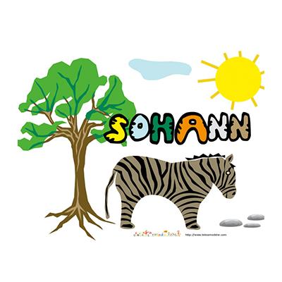 Sohann