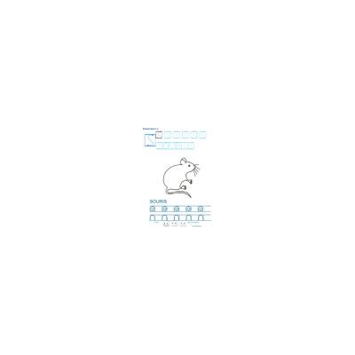 Imprimer la fiche graphisme sur S de SOURIS
