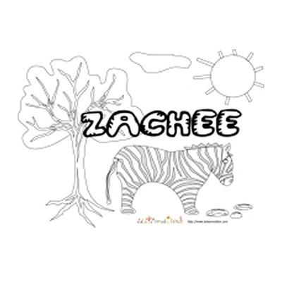 Zachée