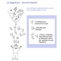 Activité pour mieux comprendre les nutriments et leur rôle dans l'alimentation
