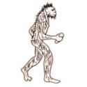 australopitheque petit trapu et poilu