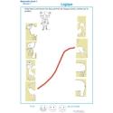 Exercice de logique : puzzle 4 assembler deux parties d'une image
