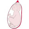 La présentation la face. Bébé se présente bien par la tête, mais la face en avant. Bébé présente la partie la plus large de sa tête. Cette présenta