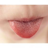 Les saveurs sur la langue 