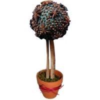 Arbre boule aux épices