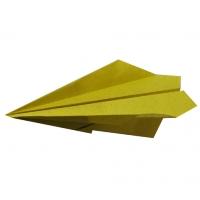 Pliage et origami d'un avion