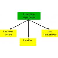 Les disciplines de l'écologie