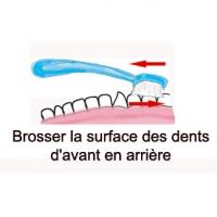 Brossage des dents efficaces