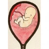 Bébé à 17 semaines - 4 ème mois de grossesse 