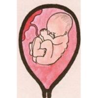 Les changements de bébé à 5 mois de grossesse 