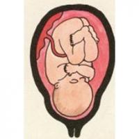 La peau de votre bébé devient rose ! Bébé a enfin une vraie peau de bébé toute rose et lisse. Le corps de bébé est toujours couvert de vernix mais le lanugo a pratique