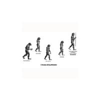 Evolution de l'homme