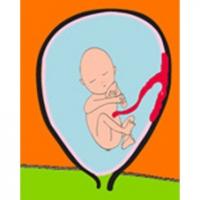 L'activité de bébé pendant le 5 ème mois