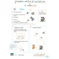 cartes d'invitation