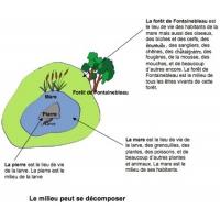 Le milieu se décompose 