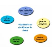 organisation du vivant 
