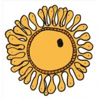 Ovule