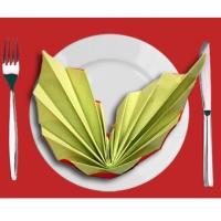 Pliage serviette grandes ailes bicolores