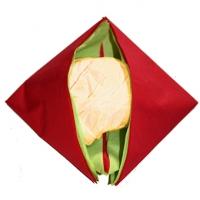Pliage serviette pochette