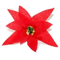 poinsettia étoile de Noël