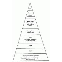 pyramide des besoins alimentaires